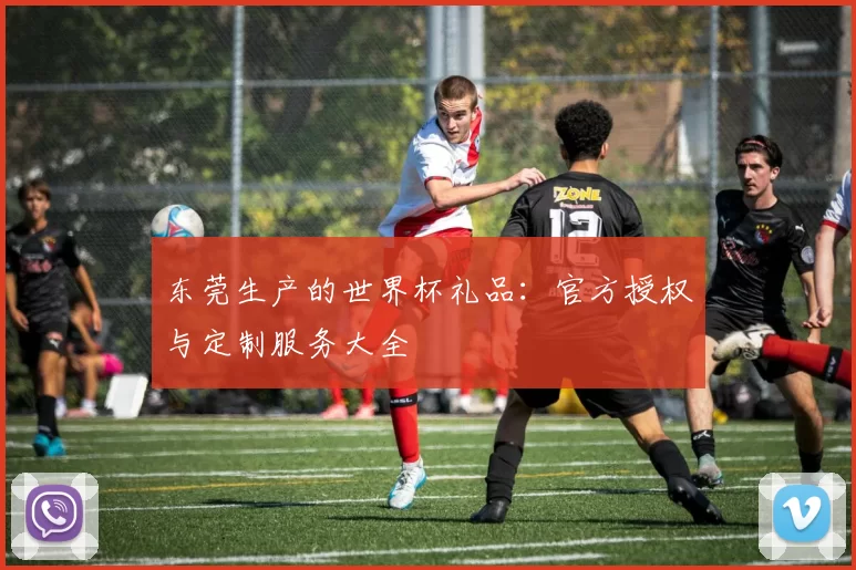 东莞生产的世界杯礼品:官方授权与定制服务大全