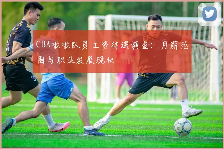 CBA啦啦队员工资待遇调查:月薪范围与职业发展现状