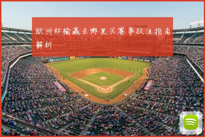 欧洲杯输赢去哪里买赛事投注指南解析