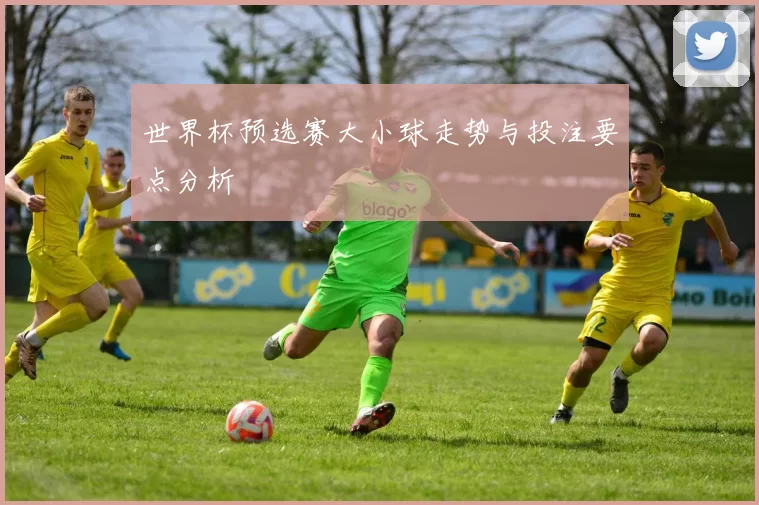世界杯预选赛大小球走势与投注要点分析