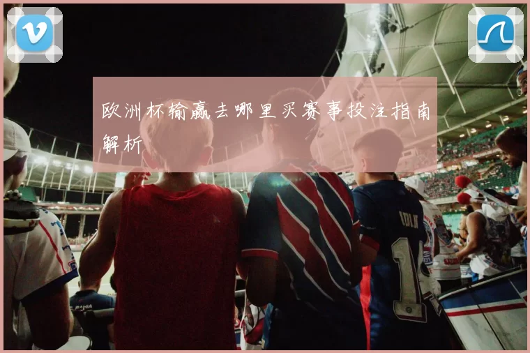 欧洲杯输赢去哪里买赛事投注指南解析