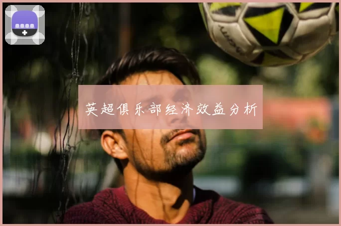 英超俱乐部经济效益分析