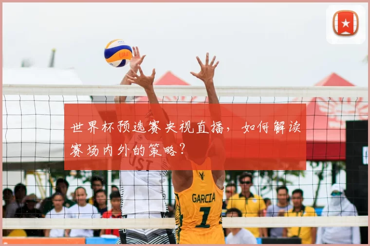 世界杯预选赛央视直播,如何解读赛场内外的策略?