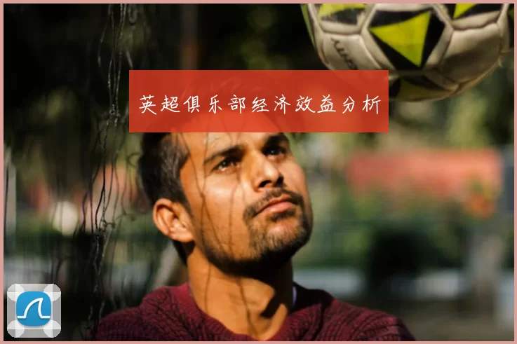 英超俱乐部经济效益分析