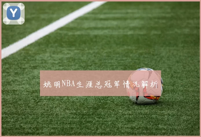 姚明NBA生涯总冠军情况解析