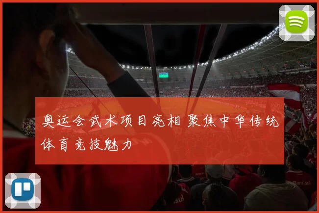 奥运会武术项目亮相 聚焦中华传统体育竞技魅力